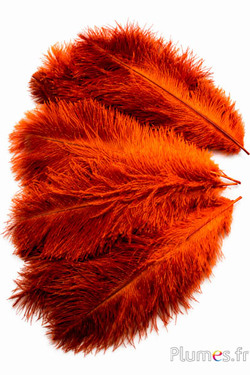 Struzzo - 30-40 cm - grigi naturale-arancioni
